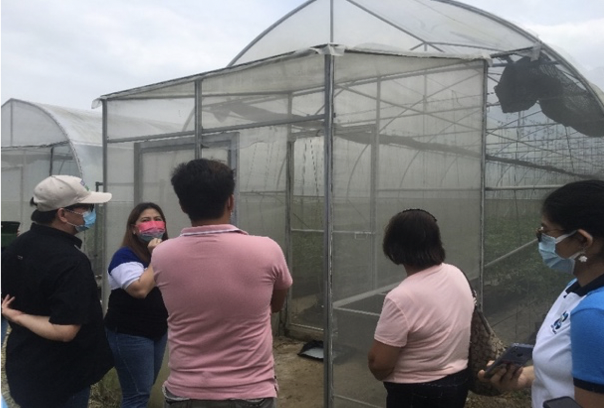 Vegetable gardening technologies provide additional support to farmers and residents in Cavite and Rizal